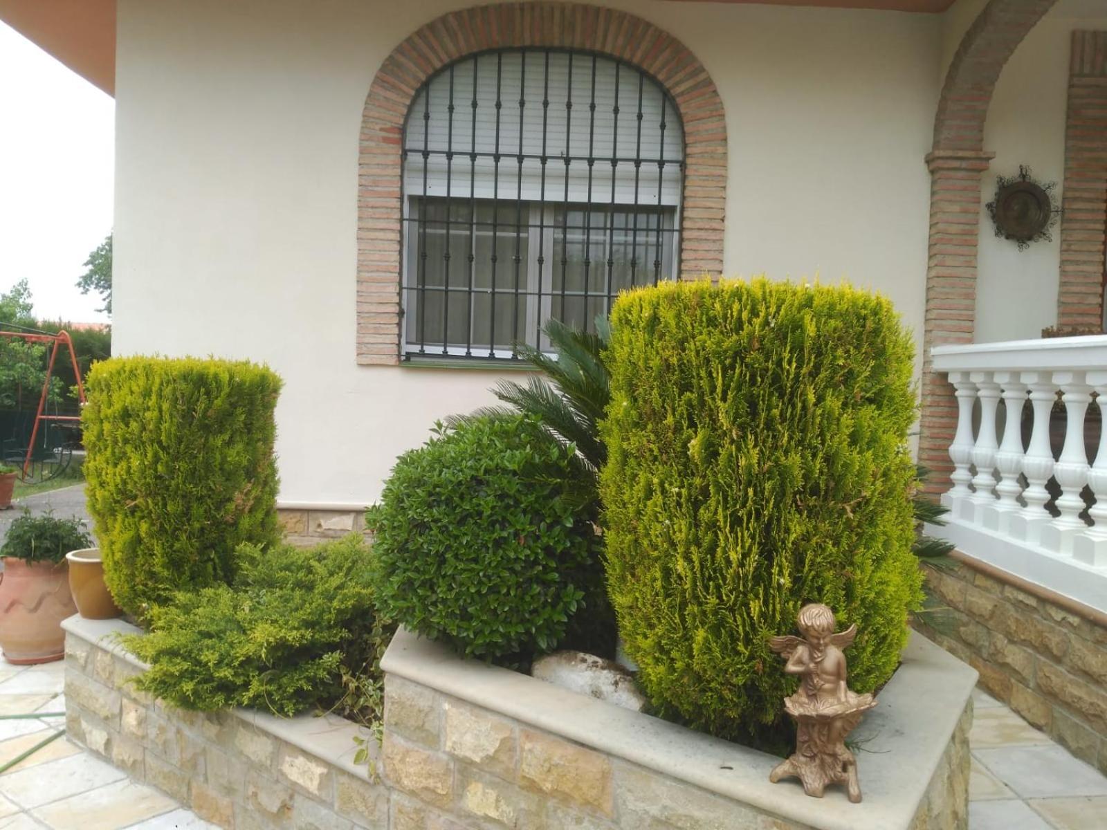 Vivienda Turistica Rural Mari Carmen Villa Baeza Bagian luar foto