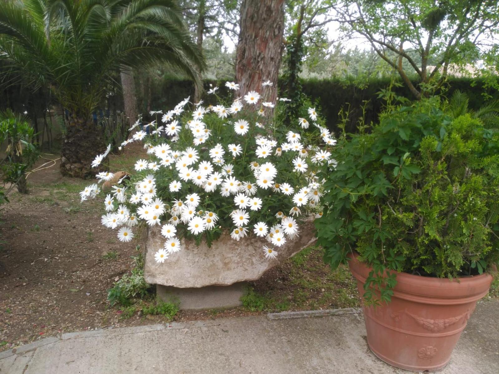 Vivienda Turistica Rural Mari Carmen Villa Baeza Bagian luar foto