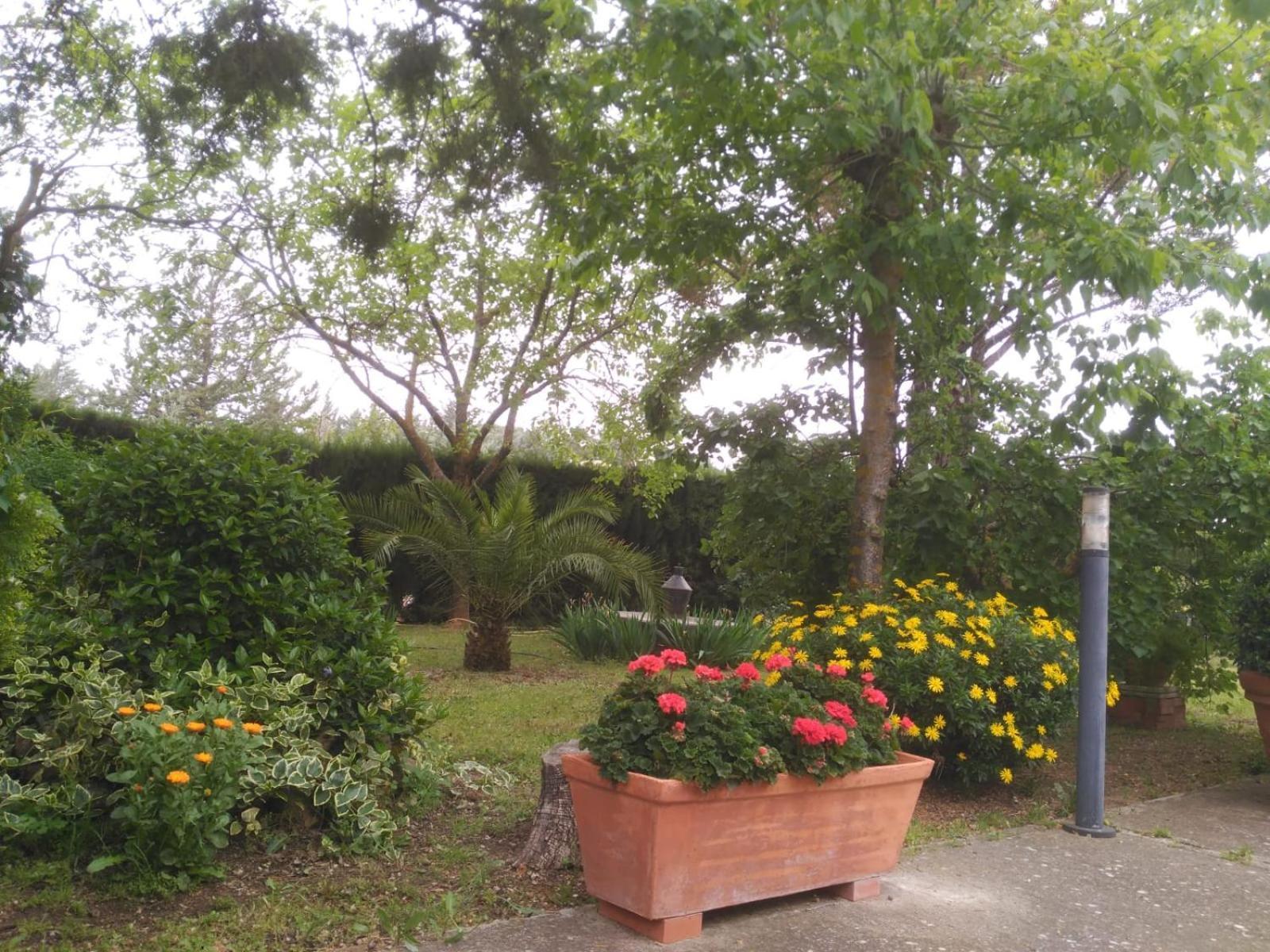 Vivienda Turistica Rural Mari Carmen Villa Baeza Bagian luar foto